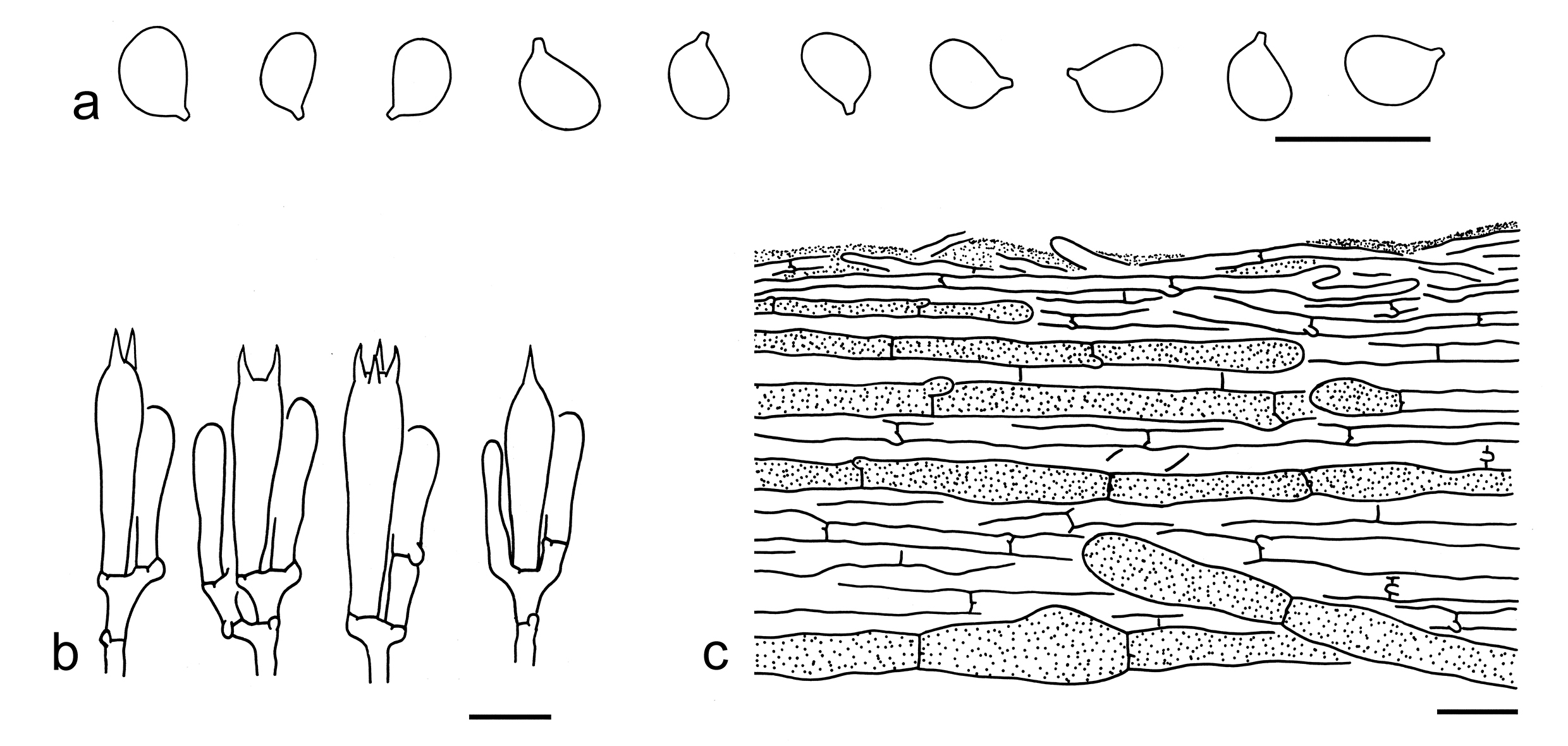 Figure 71